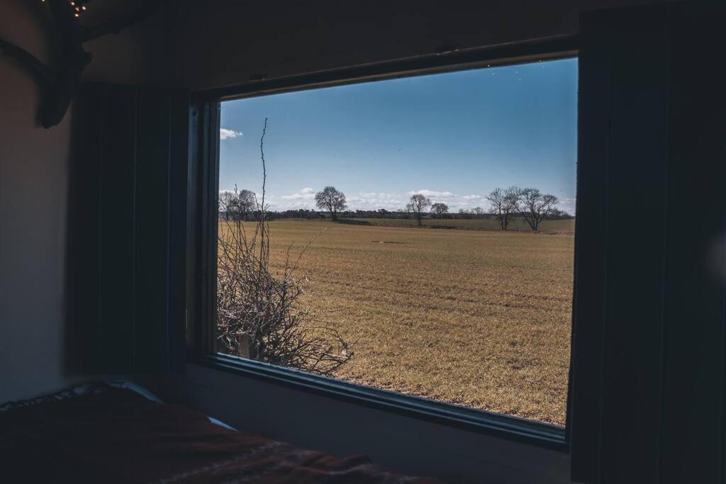 'Pipistrelle' Remote Off-Grid Micro Cabin Βίλα Sedgefield Εξωτερικό φωτογραφία