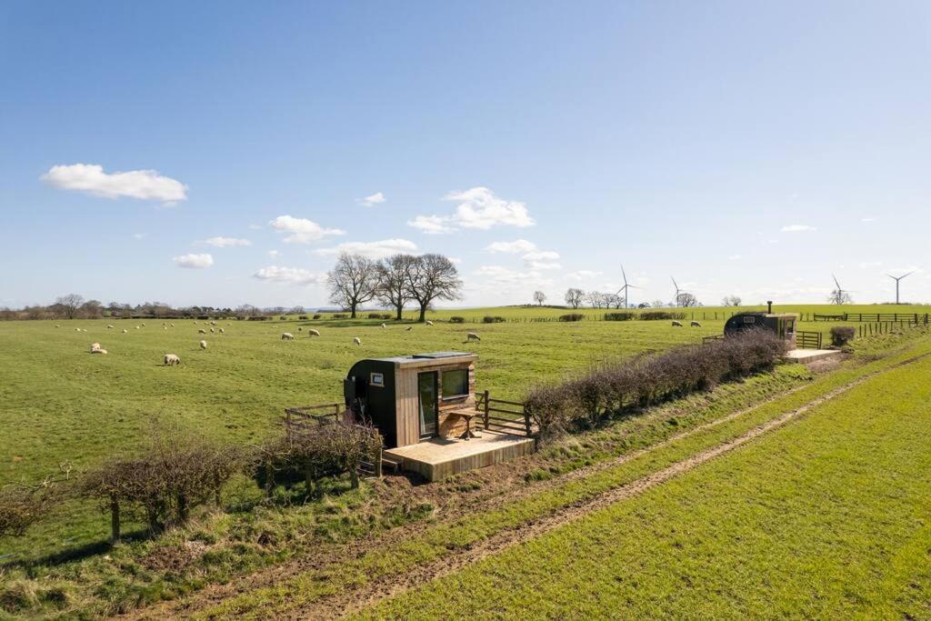 'Pipistrelle' Remote Off-Grid Micro Cabin Βίλα Sedgefield Εξωτερικό φωτογραφία